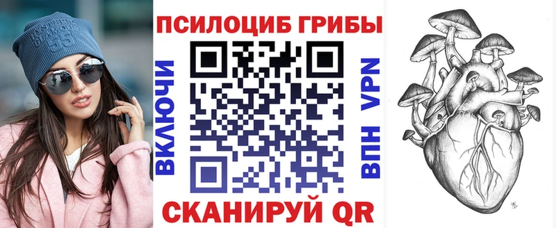 Галлюциногенные грибы мицелий Шацк